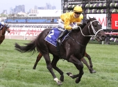 brazen-beaucoolmore-stud-stakesgroup-1_01-11-2014_win-_flemington_4__530