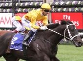 brazen-beaucoolmore-stud-stakesgroup-1_01-11-2014_win-_flemington_4__531