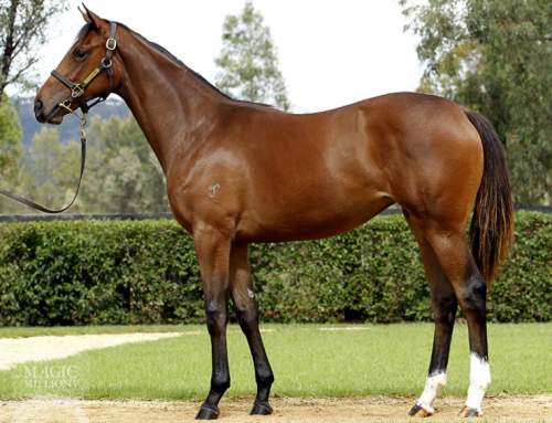 Lot 828 – I Am Invincible x Nice Surprise – Bay Filly