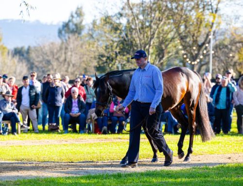 Hellbent mare cracks $3 million with G3 Cockram victory