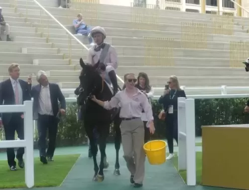 Yarraman Park cheer Zoustar mare winning French G3