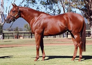 Juvenile Stakes-Winner for Magic Albert