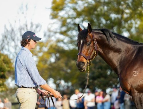 Savvy Win For Hellbent Filly