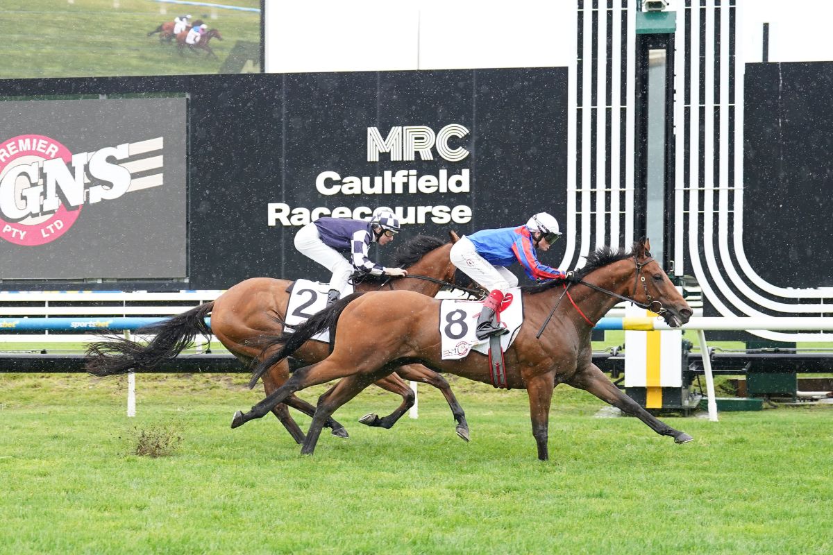 2025 Magic Millions Gold Coast Yearling Sale Yarraman Park Stud