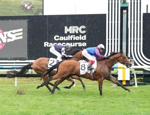 First Stakes win for Vinnie’s son Garza Blanca