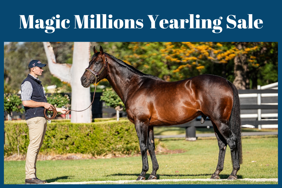 2024 Magic Millions National Broodmare Sale