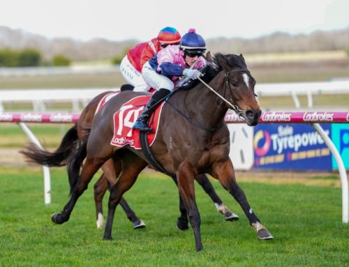 Promising debut 2YO winner for I Am Invincible