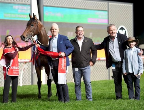 Expensive I Am Invincible mare wins second G1 in Manikato
