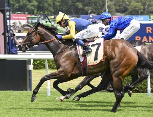 Arriving Home goes two for two i the city – three-quater brother for at Magic Millions in 2025