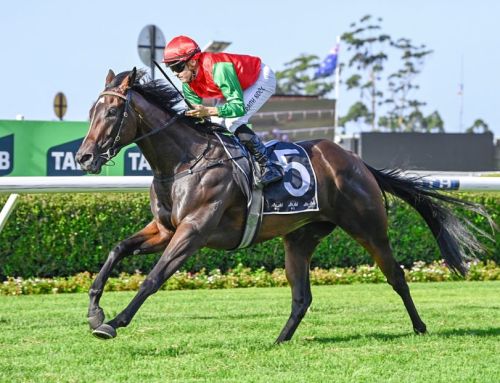 Stakes potential for Hellbent filly