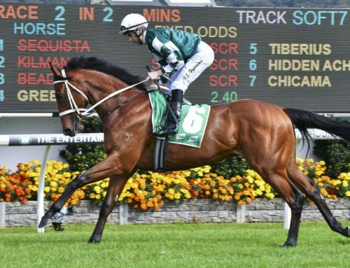 Queensland possible for Invincible colt
