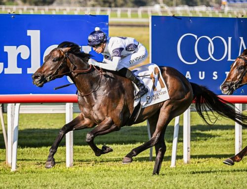 Caballus returns to form with Stakes victory