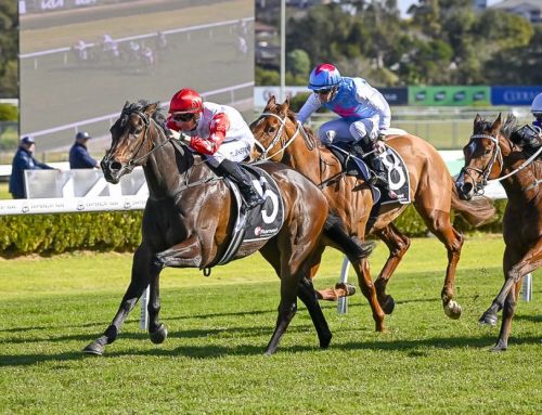 Invincible filly wins on bebut