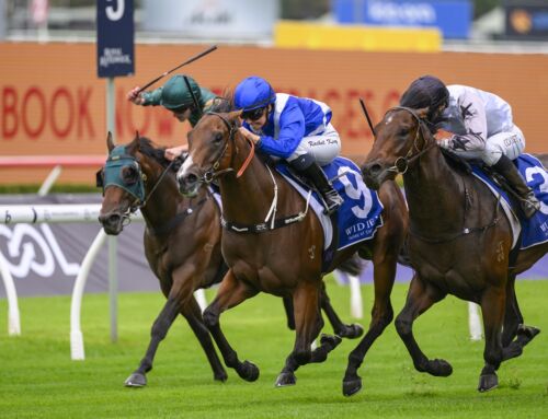 Yarraman graduate wins G3 Kindergarten Stakes on debut