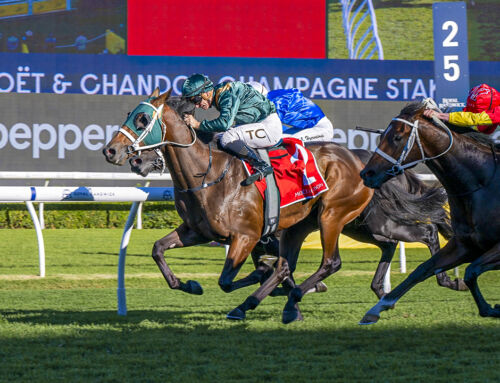 Yarraman Graduate Wins G1 Champagne Stakes- Fireball Ignites!