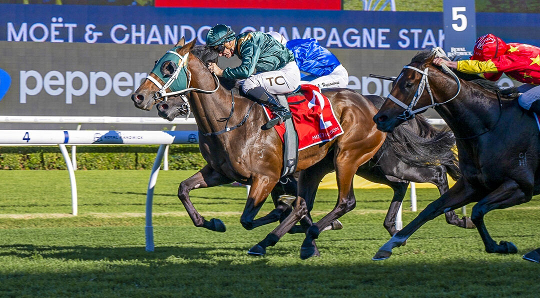 Yarraman Graduate Wins G1 Champagne Stakes- Fireball Ignites!