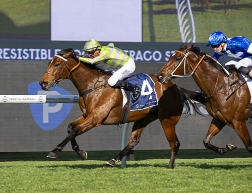 Blazing G2 Sheraco win for Savvy Hallie