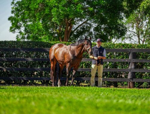 G1 Stradbroke Dreaming for Brave Smash Stakes Winner