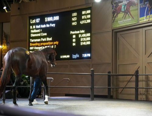 Million-dollar Invincible results at Inglis Chairman’s Sale