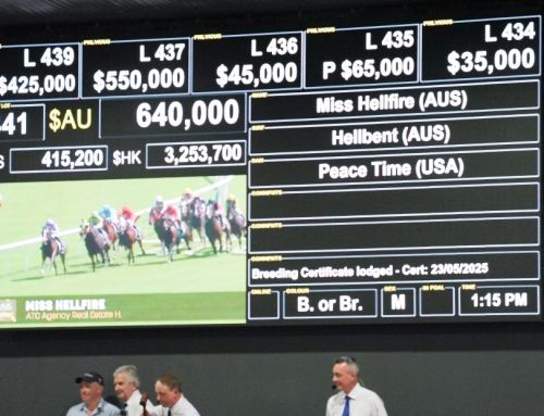 Hellbent mare Miss Hellfire makes $640,000 at Magics, bought by Newgate Bloodstock.