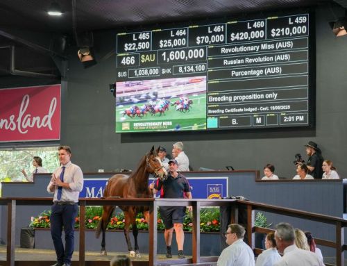 Triple Crown Syndications rewarded – $1.6 million Revolutionary Miss