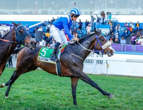 South African Group 1 For Yarraman Park Stud Graduate