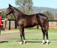 Spectacular Debut Win for Amelia