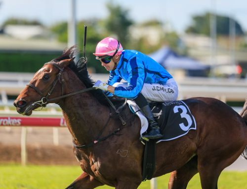 Brave Smash colt wins Listed Oxlade Stakes