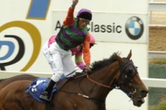 Perth Cup Victory for Cats Fun