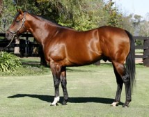 Stakes Double for Catbird