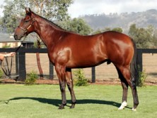 Craig’s Dragon Wins Again!