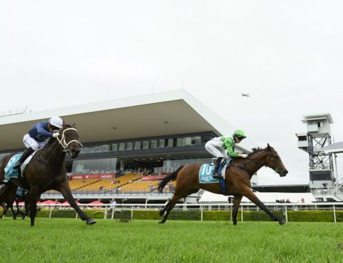 Stakes-winning debut for $1.2 million I Am Invincible filly Hi Barbie