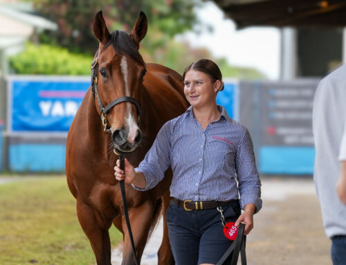 Yarraman Park Sell Mares for $7.6million