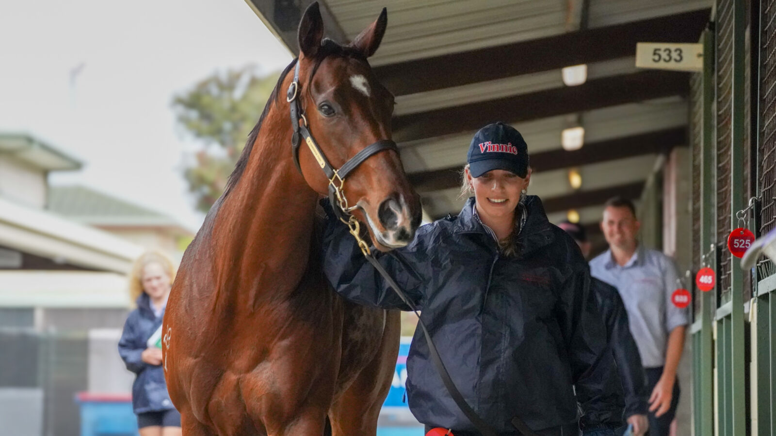 Yarraman Park Sell Mares for $1.6m and $1.5m