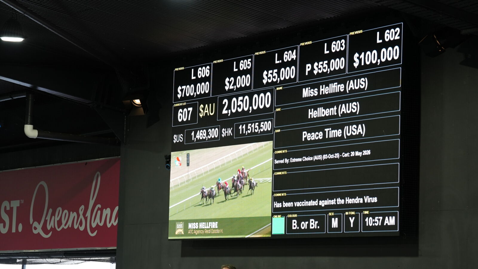 Hellbent Mare Sells for $2.05million