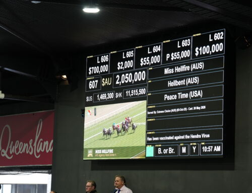 Hellbent Mare Sells for $2.05million