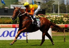 Black Opal Plans for Son of Foreplay