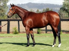 Maiden Win for Eedeeal
