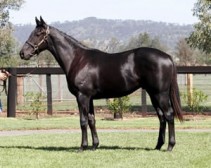 Wednesday Winners for Yarraman