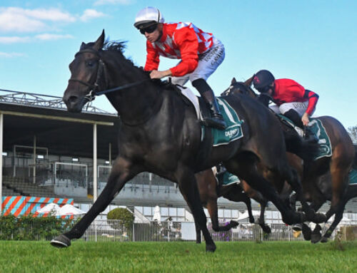 2YO YP Stakes winner, Excite