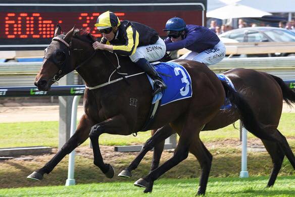 Second Stakes Win for Flippant – Yarraman Park Stud