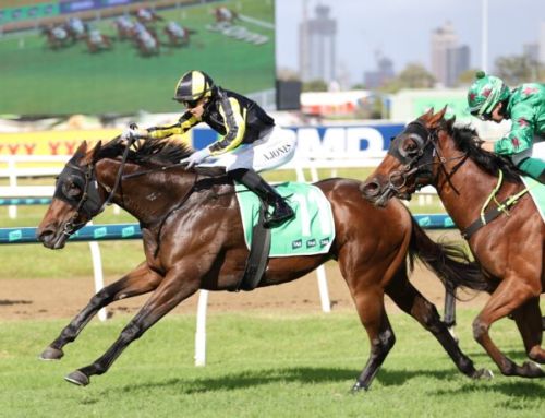 Valuable Stakes win for Yarraman Park-owned Floozie