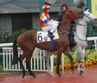 Hat-Trick for Magic Albert HK Star