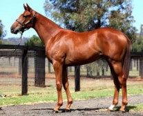 Another Happy Win for Hussy