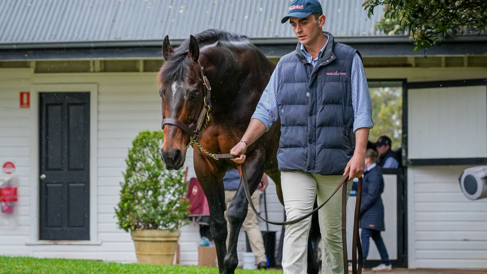 Hellbent 2YO Colt Impressive in Flemington Jumpout