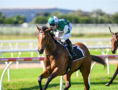 Exciting new two-year-old Stakes winner for Hellbent