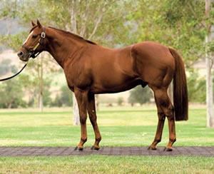 Yarraman Secure Son of Hussonet
