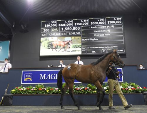 Million Dollar Yearlings for I Am Invincible