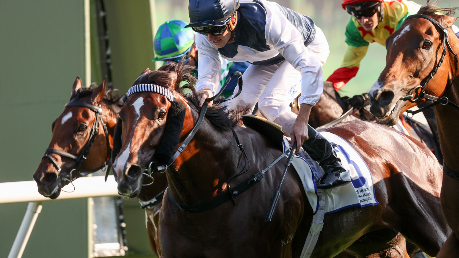 Hellbent Derby Hero Returns to Win G3 Celebration Cup