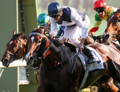 Hellbent Derby Hero Returns to Win G3 Celebration Cup